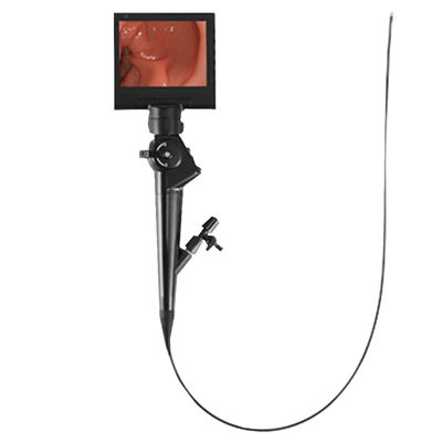 ぼうこうのための16.2Fr携帯用ビデオ内視鏡Cystoscope