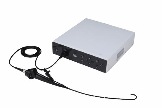 6mmの適用範囲が広いビデオ内視鏡のBronchoscope